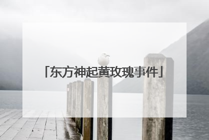 东方神起黄玫瑰事件