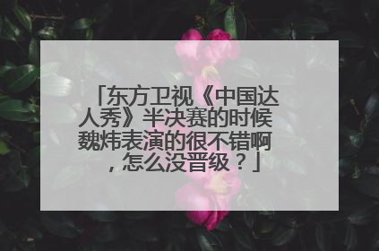 东方卫视《中国达人秀》半决赛的时候魏炜表演的很不错啊，怎么没晋级？