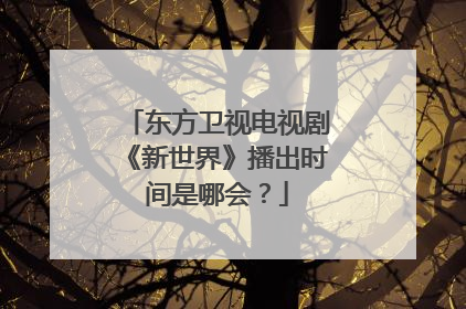 东方卫视电视剧《新世界》播出时间是哪会?