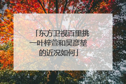 东方卫视百里挑一叶梓萱和吴彦堃的近况如何