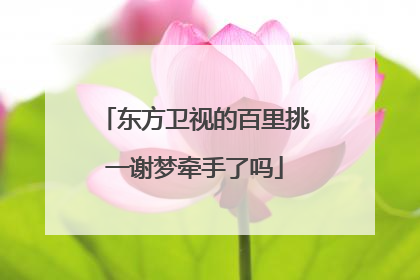 东方卫视的百里挑一谢梦牵手了吗
