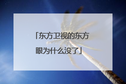 东方卫视的东方眼为什么没了