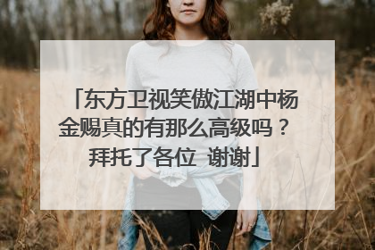 东方卫视笑傲江湖中杨金赐真的有那么高级吗?拜托了各位 谢谢
