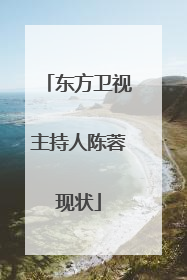 东方卫视主持人陈蓉现状