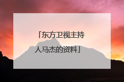 东方卫视主持人马杰的资料