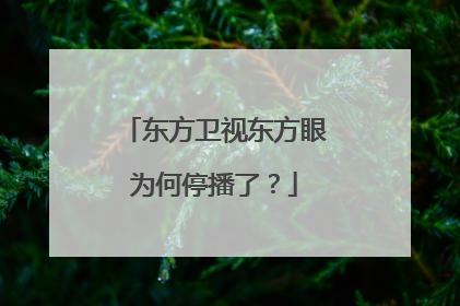 东方卫视东方眼为何停播了?