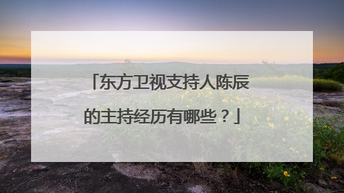 东方卫视支持人陈辰的主持经历有哪些？