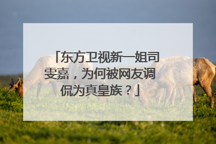 东方卫视新一姐司雯嘉,为何被网友调侃为真皇族?