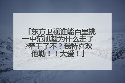 东方卫视谁能百里挑一中范旭毅为什么走了?牵手了不？我特喜欢他勒！！大爱！