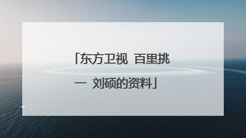 东方卫视 百里挑一 刘硕的资料