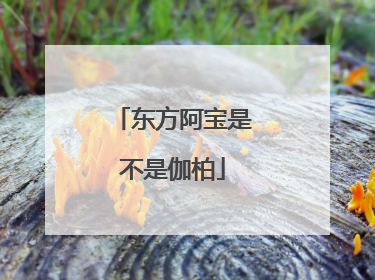东方阿宝是不是伽柏