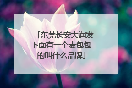东莞长安大润发下面有一个麦包包的叫什么品牌