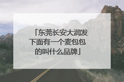 东莞长安大润发下面有一个麦包包的叫什么品牌