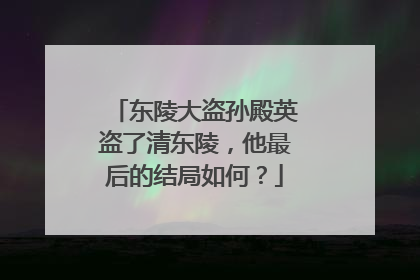 东陵大盗孙殿英盗了清东陵，他最后的结局如何？
