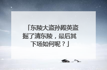东陵大盗孙殿英盗掘了清东陵，最后其下场如何呢？