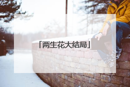 两生花大结局
