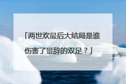 两世欢最后大结局是谁伤害了景辞的双足?