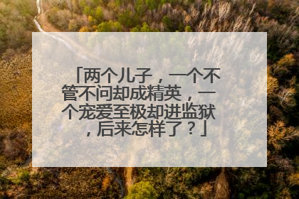 两个儿子，一个不管不问却成精英，一个宠爱至极却进监狱 ，后来怎样了？