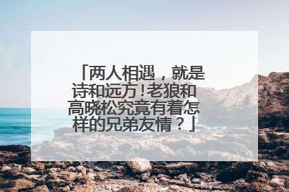 两人相遇，就是诗和远方!老狼和高晓松究竟有着怎样的兄弟友情？