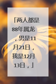 两人都是88年属龙,男是11月21日,我是12月13日,
