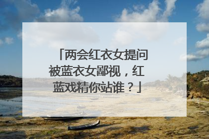 两会红衣女提问被蓝衣女鄙视，红蓝戏精你站谁？