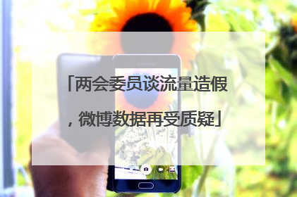 两会委员谈流量造假，微博数据再受质疑