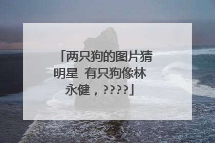 两只狗的图片猜明星 有只狗像林永健，????