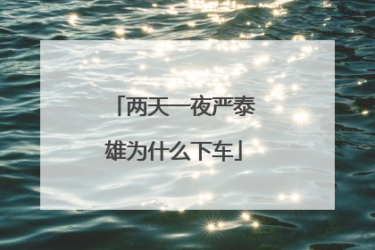 两天一夜严泰雄为什么下车