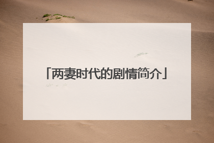 两妻时代的剧情简介