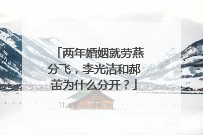 两年婚姻就劳燕分飞,李光洁和郝蕾为什么分开?