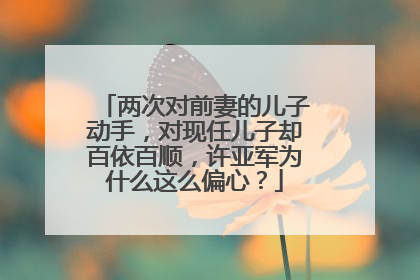 两次对前妻的儿子动手，对现任儿子却百依百顺，许亚军为什么这么偏心？