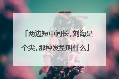 两边短中间长,刘海是个尖,那种发型叫什么