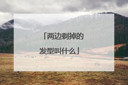 两边剃掉的发型叫什么