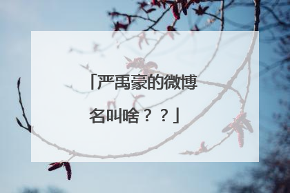 严禹豪的微博名叫啥??