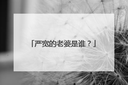 严宽的老婆是谁?