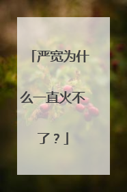 严宽为什么一直火不了?