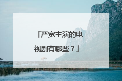 严宽主演的电视剧有哪些?