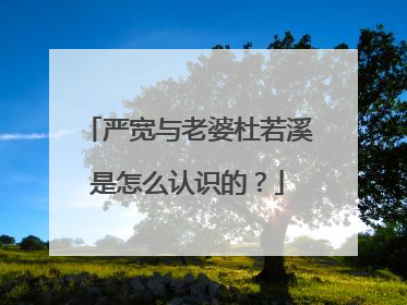 严宽与老婆杜若溪是怎么认识的？