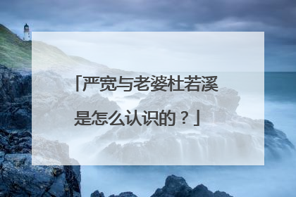 严宽与老婆杜若溪是怎么认识的?
