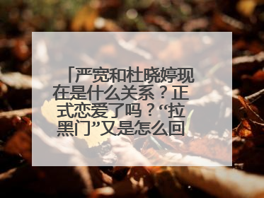 严宽和杜晓婷现在是什么关系？正式恋爱了吗？“拉黑门”又是怎么回事啊？