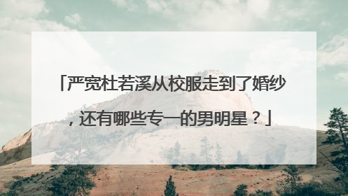 严宽杜若溪从校服走到了婚纱,还有哪些专一的男明星?