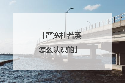 严宽杜若溪怎么认识的