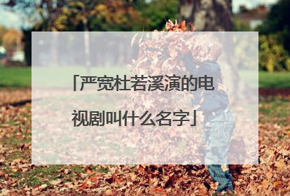 严宽杜若溪演的电视剧叫什么名字