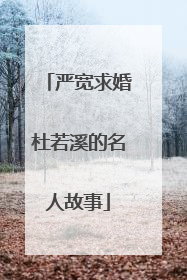 严宽求婚杜若溪的名人故事