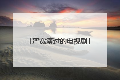 严宽演过的电视剧