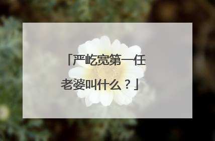 严屹宽第一任老婆叫什么?