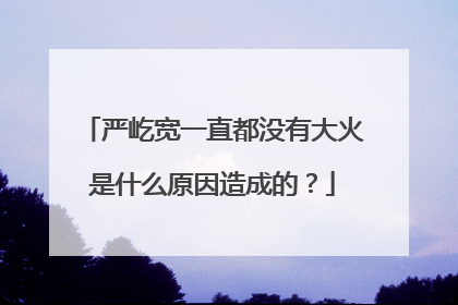 严屹宽一直都没有大火是什么原因造成的？