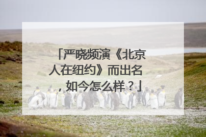 严晓频演《北京人在纽约》而出名，如今怎么样？