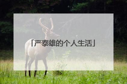 严泰雄的个人生活