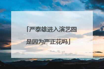 严泰雄进入演艺圈是因为严正花吗